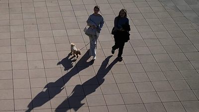 Russia's top-selling dog vaccine linked to spate of pet deaths across the country