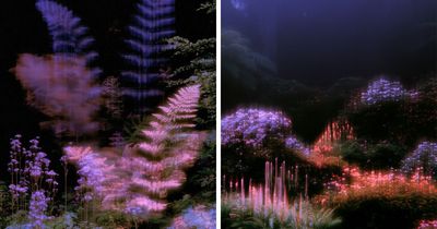 28 Ethereal Images By Lela Amparo That Turn Real Landscapes Into Immersive Art
