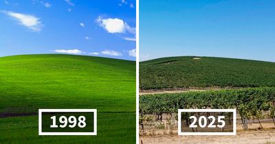 People Are Shocked When They Find Out How The Iconic Window XP Wallpaper Hill Looks Now