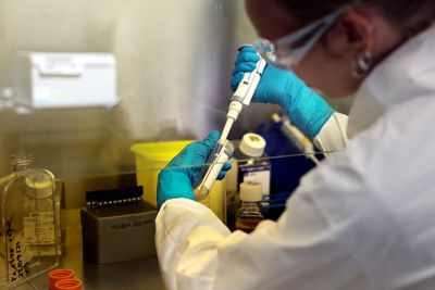 Scientists Create Ready-Made Cancer-Fighting T Cells from Cord Blood That Attack Solid Tumors in Two Ways