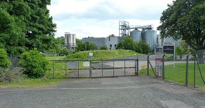 Diageo distillery to be 'brought to a standstill' as workers strike over job cuts