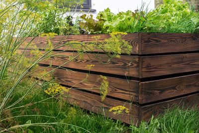 The HOA Approved His Garden — Then a New Board Fined Him $750 for It