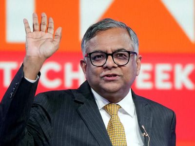 Tata Trusts' opposition may delay Chandrasekaran's fresh term and Tata Sons' IPO by months, warns governance expert
