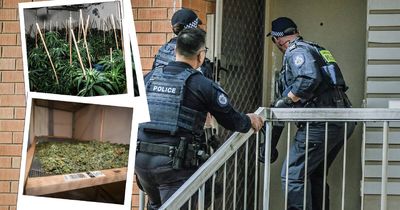 The quiet suburb where police launched one of the ACT's biggest ever drug busts