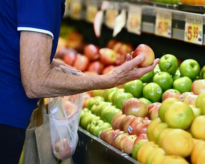 Morning Mail: Migrant battle shifts to food prices; Hyrox athlete says sorry; and are we facing a ‘spermapocalypse’?