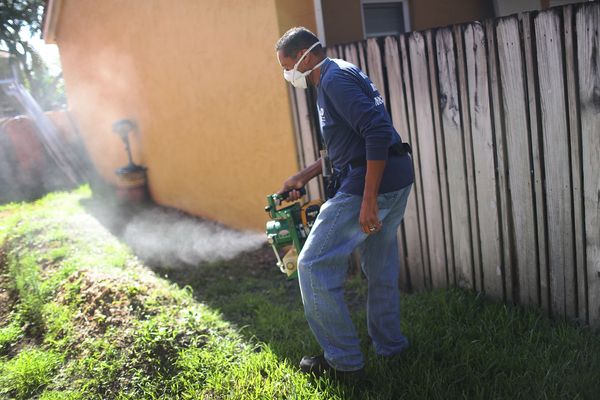 Maryland Adds Unscheduled Evening Mosquito Spraying in Bowie and Temple Hills as Late-Season Disease Concerns Continue