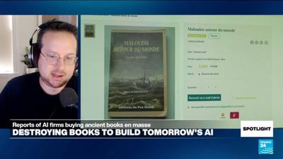 Intent not malicious, it's indifference: Thousands, if not millions, of books sent to AI woodchipper