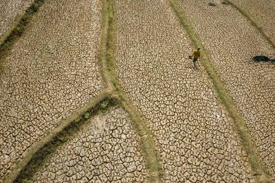 ‘Forcing a reckoning’: How Asia is preparing for a ‘supersized’ El Niño