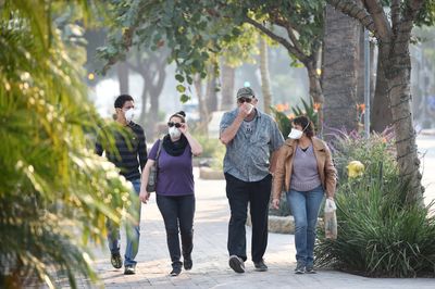 Wildfire Smoke Linked to Higher Heart and Lung Hospitalization Risks Than Equal Levels of Other Pollution