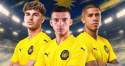 Malaysia công bố đội hình dự FIFA ASEAN Cup, có 3 cầu thủ nhập tịch mới