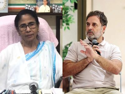 Rahul Gandhi slams EC over TMC name, symbol ban, says ‘vote chori, govt chori, now party chori’