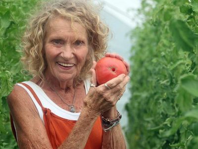 Meet Peg Davis, a Virginia schoolteacher handed just 4 tomato seeds by a ninth-grader; nearly 50 years later, the heirloom tomato she saved lives on