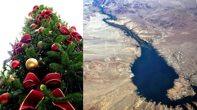 Christmas Trees Aid Fish Habitat: Discarded evergreens feed fish; anglers track sites by GPS