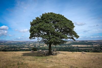Heat dome means UK temperatures could rise again