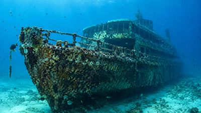 Texas Star Sinking: Delaware turns retired ship into artificial reef; boosts marine habitat