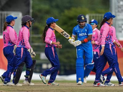 Japan cricketers hail 'amazing' experience playing India at Asian Games