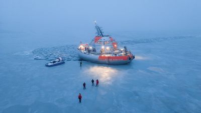 Locked in Arctic ice, the floating lab studying climate and wildlife