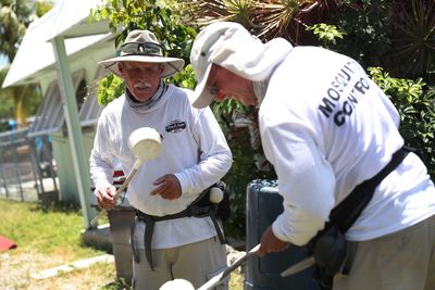 Jacksonville Reports a Second Locally Acquired West Nile Case as Duval County Crews Spray for Infected Mosquitoes