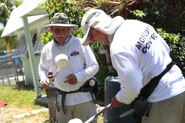 Jacksonville Reports a Second Locally Acquired West Nile Case as Duval County Crews Spray for Infected Mosquitoes