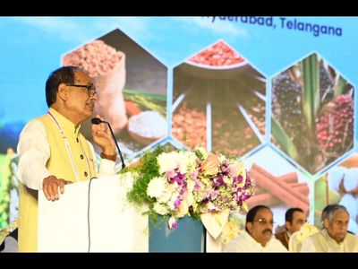 Shivraj Singh Chouhan asks states to meet farm targets on time; warns against ‘eating, meeting and sitting’