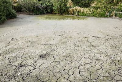 ‘Nine in 10’ adults cut back on water use as drought continues