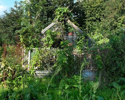Time for Gardeners’ World to turn over a new leaf