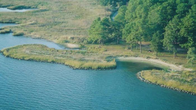 Memorial Stadium rubble built Maryland living shoreline, restoring 400ft of coast & 2 acres of wetlands