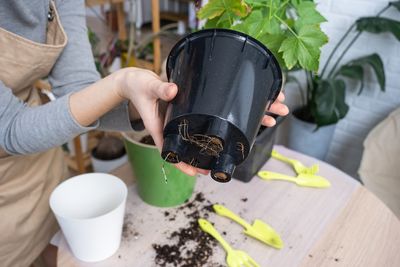 Don’t Bring Your Outdoor Plants Inside Until You Check the Drainage Holes