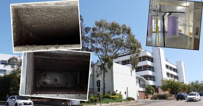 Hunter hospital breached mould safety limits 185 times