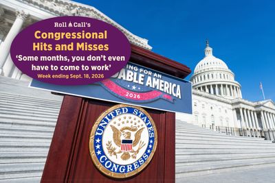 ‘Some months, you don’t even have to come to work’ — Congressional Hits and Misses