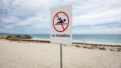 Search for shark and swimmer after fatal attack