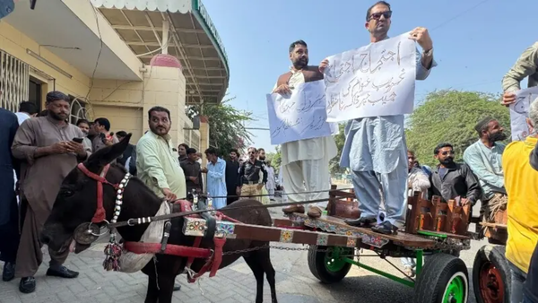 'Can't afford petrol': Pakistan PTI lawmakers ride donkey carts to assembly in protest