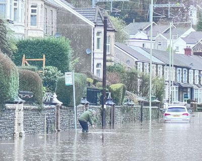 How to flood-proof your home: from water-thirsty plants to deflated footballs