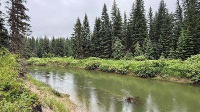 Montana Family Protects Land: Cameras reveal rich wildlife corridor; easement keeps riverfront intact