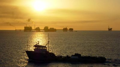 Rigs-To-Reefs Program: retired Gulf platforms fuel fish boom; studies show cost-effective habitats