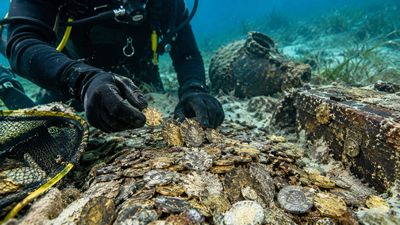 2025 Coin Salvage Discovery: Divers recover 1,000 coins from 1715 fleet; find may reshape shipwreck research