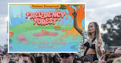 Music festival won't go ahead in Maitland after threat to showground, promoter's cars firebombed