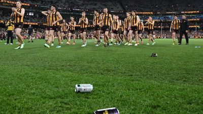 Hawks and their fans rage after devastating AFL loss
