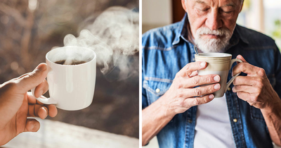 Your Morning Coffee May Contain Something Disturbing, And The FDA Says It’s Technically Allowed