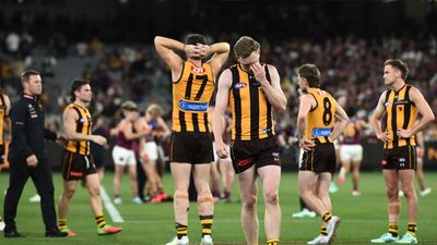 Hawks to 'sit in anger' after prelim final heartbreak