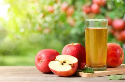 Apple Cider vs. Apple Juice: Why Does One Cost So Much More?