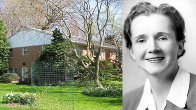 Carson bought a Maine cottage in 1952, studied tidal pools, wrote Silent Spring