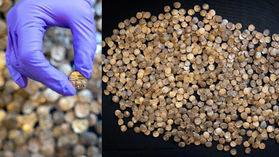In 2020, a detectorist found 933 Iron Age gold coins in Essex; now on display