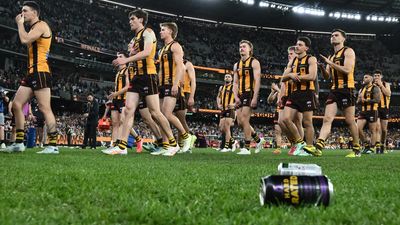 AFL bans loom for bottle-throwing Hawthorn fans