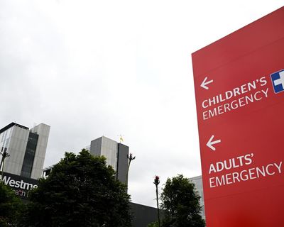 One child dead and two children in critical condition after Blue Mountains stabbing