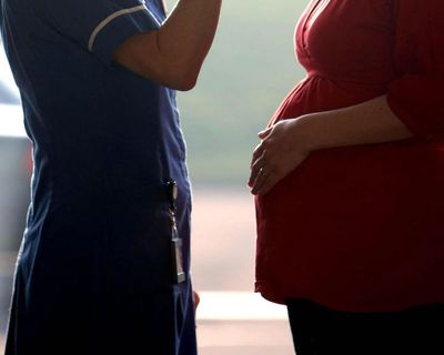 About 20,000 women a year tell midwives they are domestic violence victims