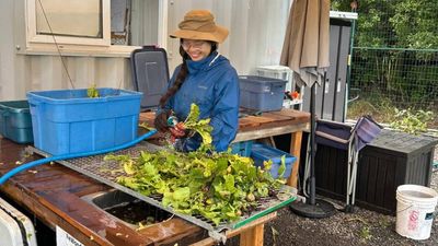 How this 17-year-old built a youth food rescue network