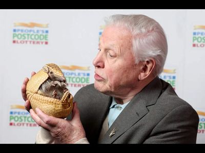 Quote of the day by David Attenborough: ‘We often talk of saving the planet, but the truth is that we must do these things to save ourselves’ – British naturalist on humanity and nature