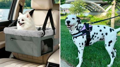55 weird-as-hell things for dogs that are actually life-changing — & wow, they're cheap