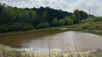 Atlanta teacher warned students away from locked 26-acre forest; $3 million may open it